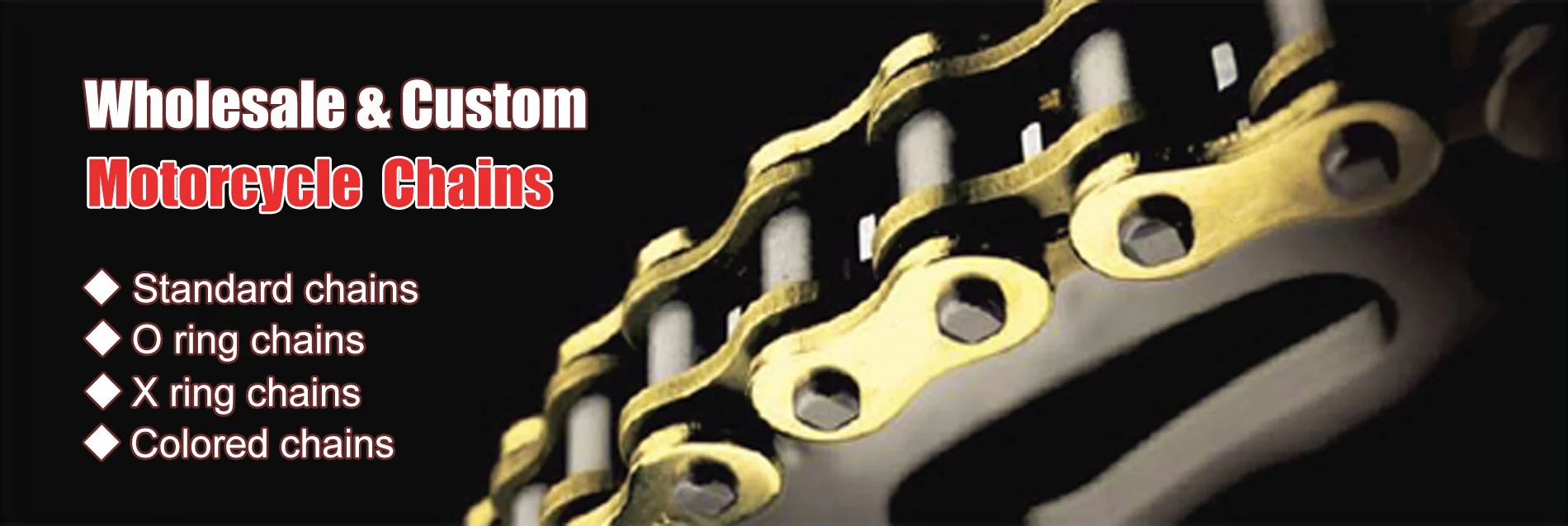 Custom high strength motorcycle 630H O ring chains